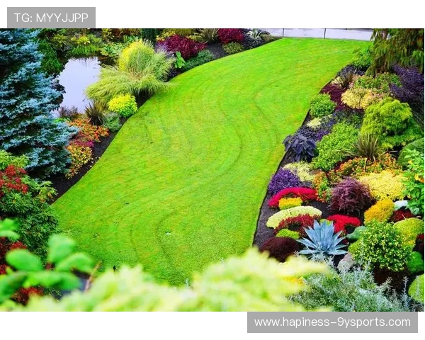 女王公园巡游者俱乐部：探访历史与自然交织的城市绿洲之旅